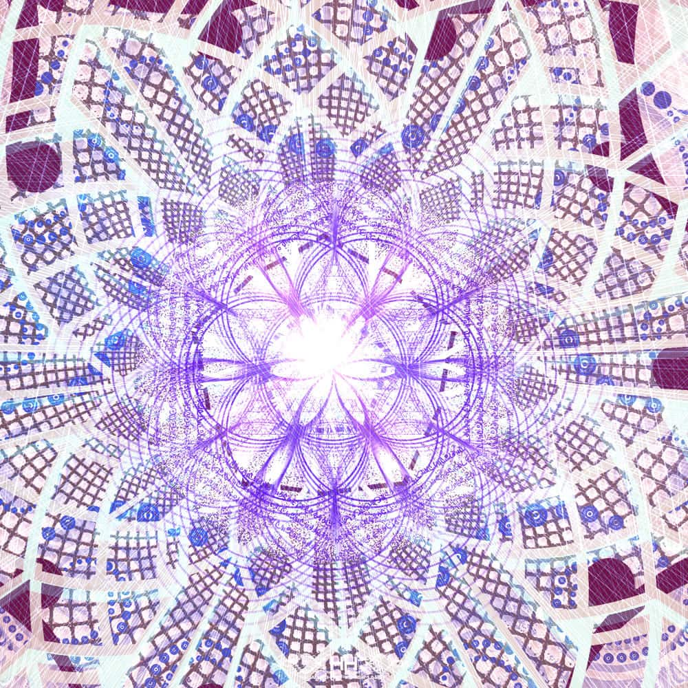 Indra's Net detail 1 of 8