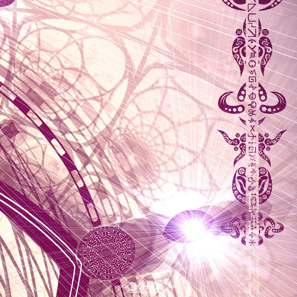 Indra's Net detail 6 of 8