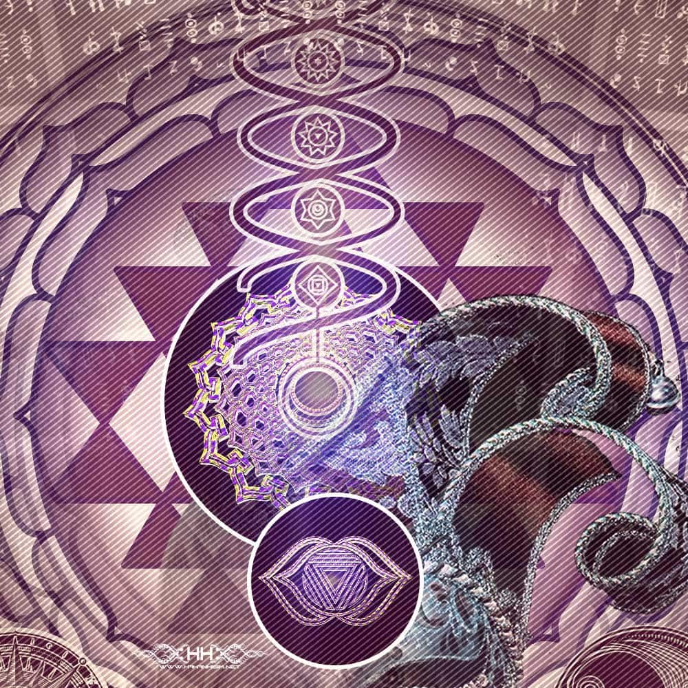 Toroidal Tantra detail 2 of 16